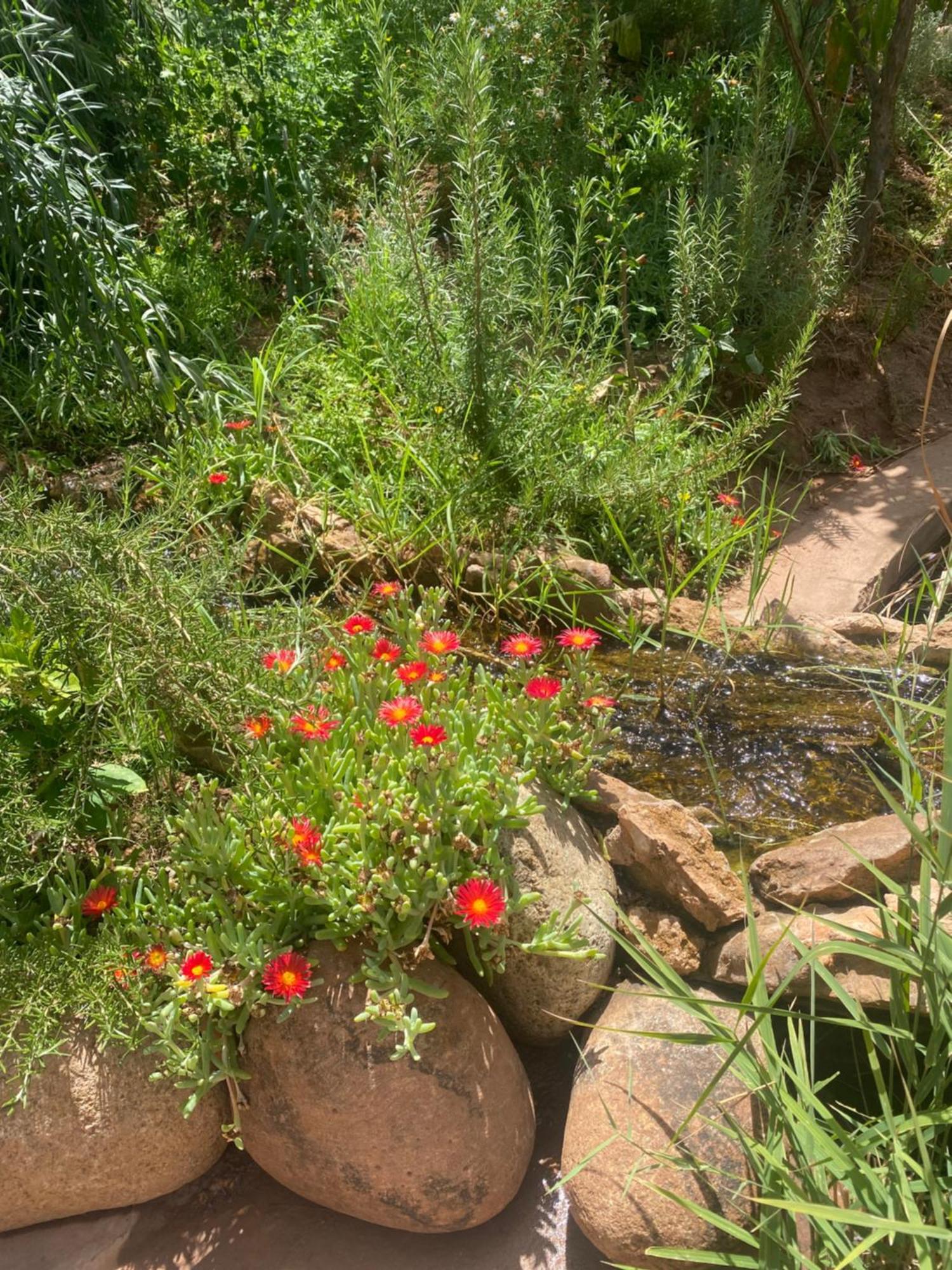 Jardin Sakina - Chambre D'Hotes Oulad Moumene 외부 사진