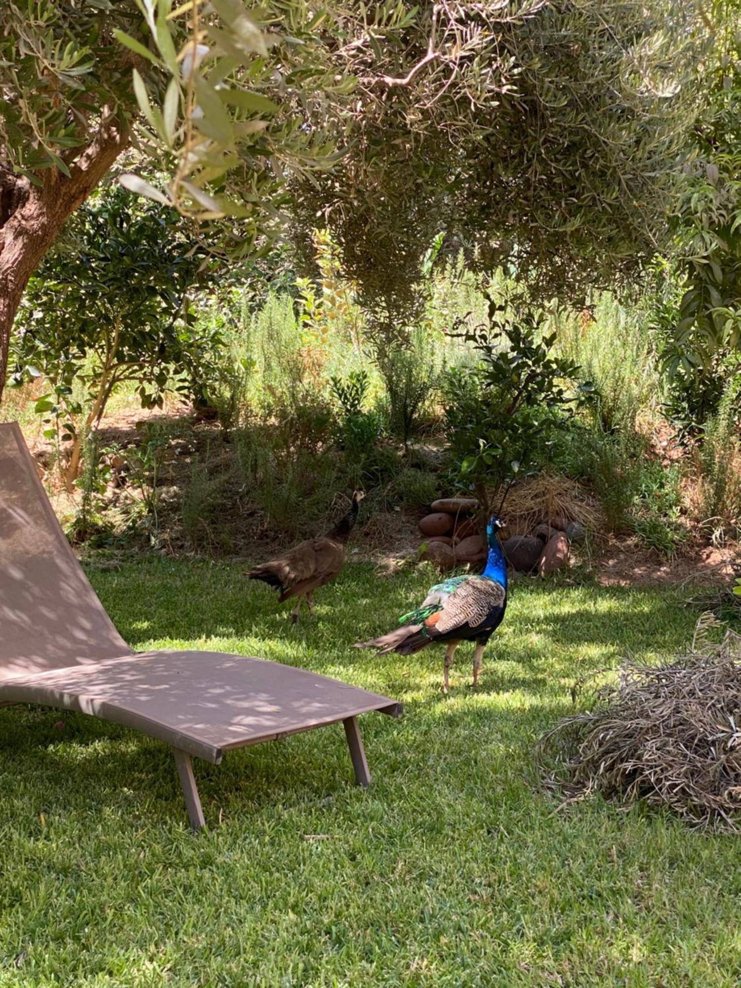 Jardin Sakina - Chambre D'Hotes Oulad Moumene 외부 사진