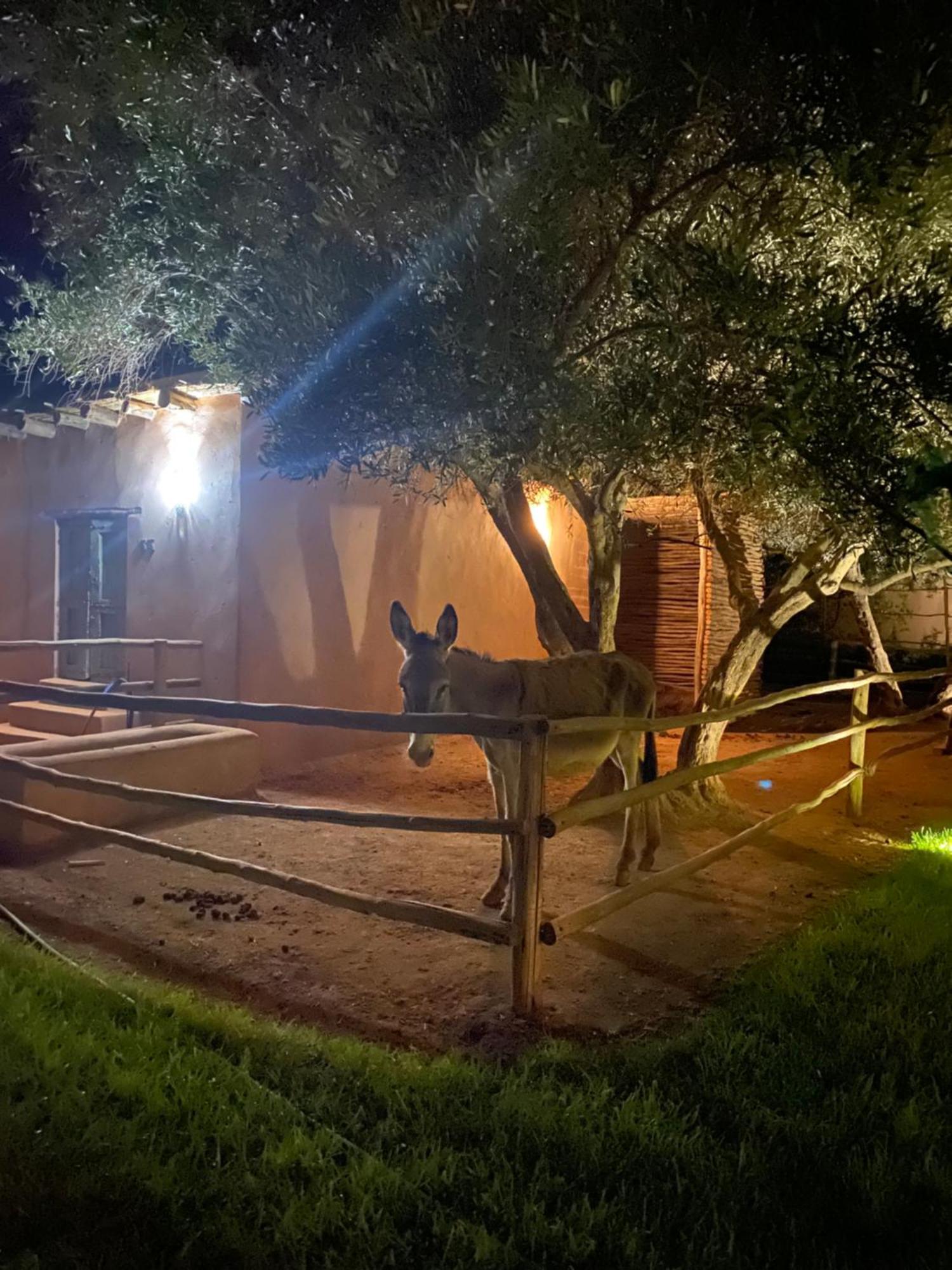 Jardin Sakina - Chambre D'Hotes Oulad Moumene 외부 사진